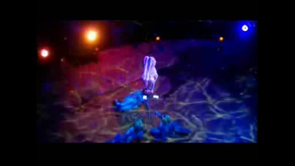 Cirque Du Soleil - Varekai - Olga Pikhienko.avi
