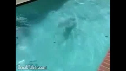 Куче Плувец