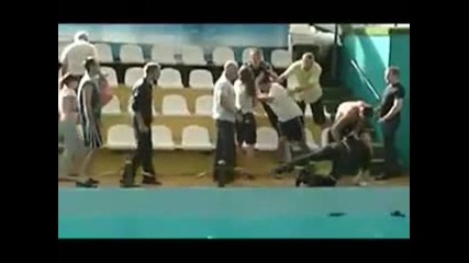 Руснаци се бият в делфинариум