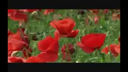 Discovery - направи филм за България ) 