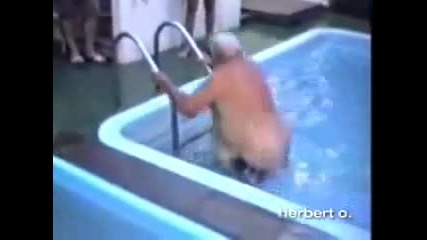 Смешни водни инциденти :d 