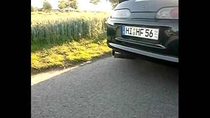 Beasts Supras Compilation 