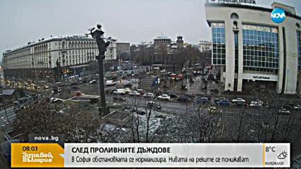 СЛЕД ОБИЛНИЯ ДЪЖД: 13 сигнала за паднали клони само за една нощ
