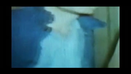 Six Ft. Ditch - March Of The Sfd Vid