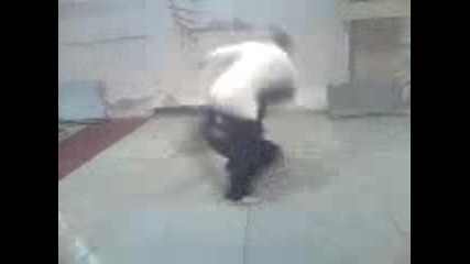 Джудисти