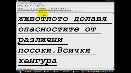 кенгуру Screen Stream