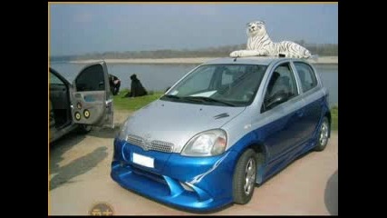 Tuning Maniq