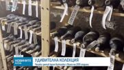 Удивителна колекция: Чешки замък показва бутилки с вино на повече от 130 години