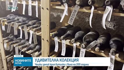 Удивителна колекция: Чешки замък показва бутилки с вино на повече от 130 години