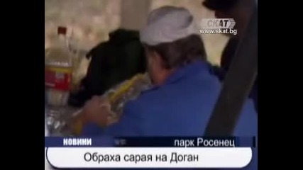 Обраха сарая на Доган 