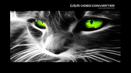 Pako Beat Edit 1