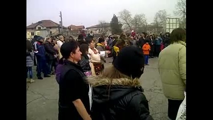 сурва струмско 2014