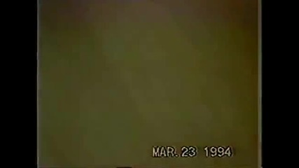 Animal Attacks!!
