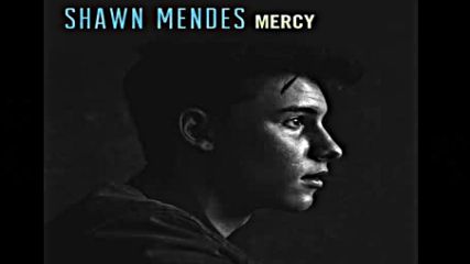 Shawn Mendes - Mercy (текст и превод)