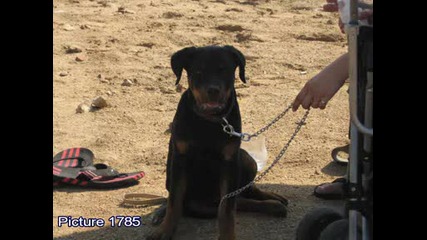 Max