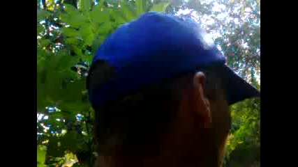 Dogal Park Hariklari Los Angelesta 2015 Hd