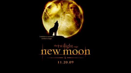 New Moon Официални и Фен постери