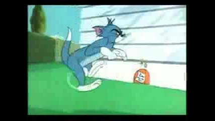 Tom & Jerry 