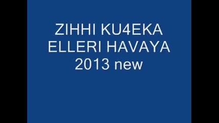 ork zihhiler provadiya 2013 new