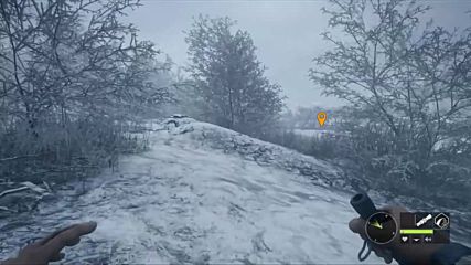 Thehunter Call of the Wild – Medved-taiga