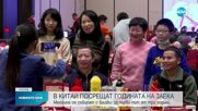 В Китай посрещат Годината на Заека