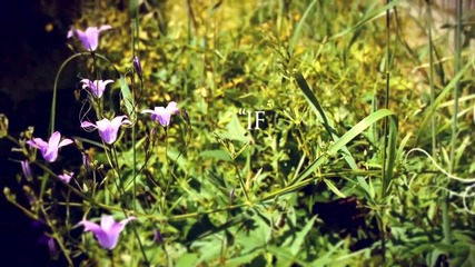 Ten - 'this Love' (from 'isla De Muerta' on Rocktopia Records)