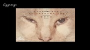 Stab Virus - The Unknown Song ( Coyu Edit )