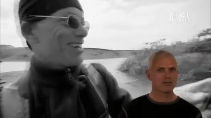 мечка - крадец на риба