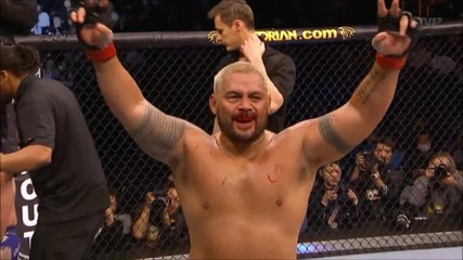 Ufc Най-великите моменти за 2013