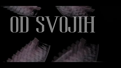 Ceca - Dobrotvorne svrhe (2016)