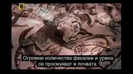 История на тоалетната 2