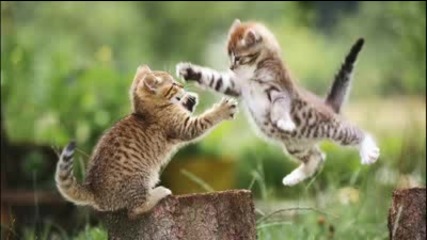 Jaxson and David Keno - Karate Kid (original Mix) 