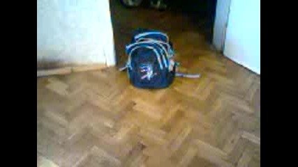 eto taka se pravi fokus