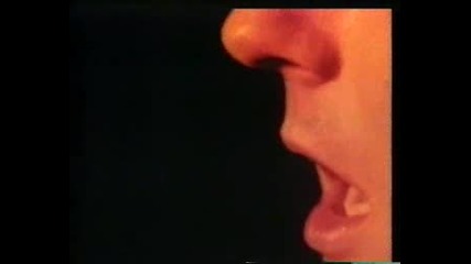 Laughing Clowns - Eternally Yours