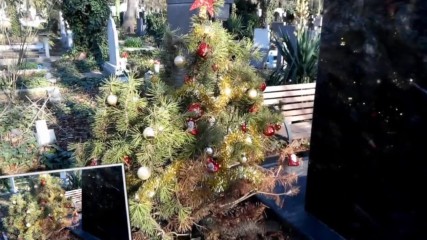 Vid_20161210_133648