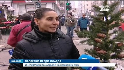 Инспектори тръгват на лов за незаконни елхи