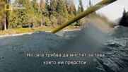 откъс 2 | Последните гиганти: Диви риби | National Geographic Bulgaria
