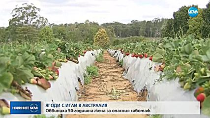 50-годишна австралийка поставила игли в ягоди в супермакрети