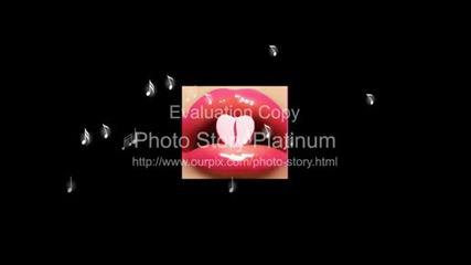 Mujkite sulzi - ...!? kiss me !?..!