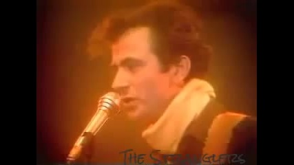 The Stranglers - Golden Brown - Live