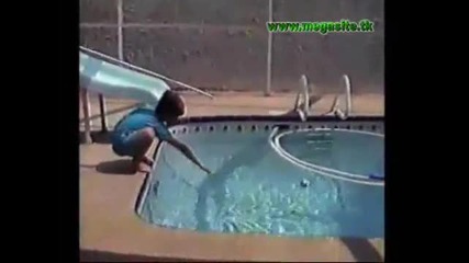 Невероятни и невероятно смешни животни 