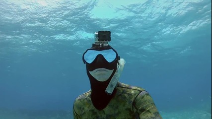 Go Pro: Shark Riders - Dive Housing | H D |