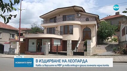 Проверяват двама души заради избягалия хищник в Шуменско
