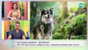 Костадин Шарков: Как да се грижим за кучето през летния сезон? - „На кафе” (15.07.2025)