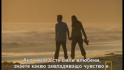 Обяснението на учените - какво е любовта