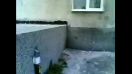 Freerun