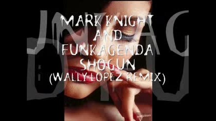 Mark Knight & Funkagenda - Shogun (wally Lopez Remix)