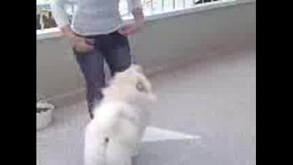 Run