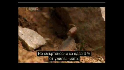 National Geographic - Най - Смъртоносните Животни - Скорпион 