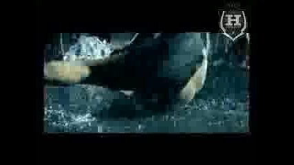 St1m - Izo Vsej Sily (special Edition)